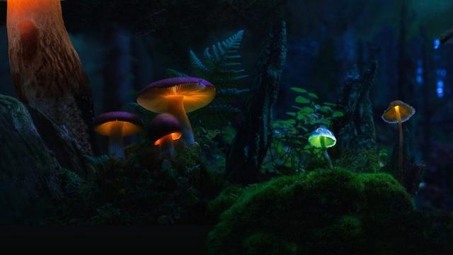 威尼斯电影节的VR作品展示了VR的潜力，VR岛将成标志